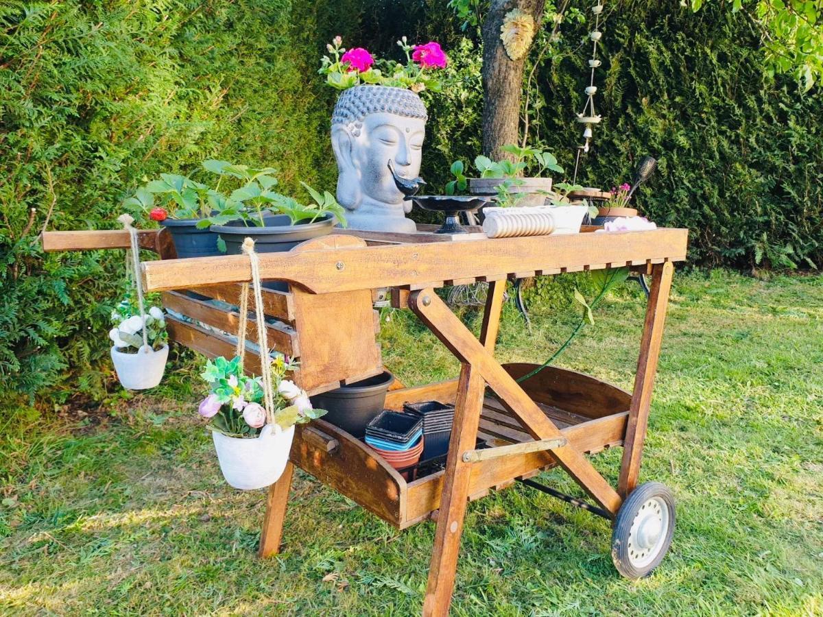 Maison Blanche De Hudson Cussac  Kültér fotó